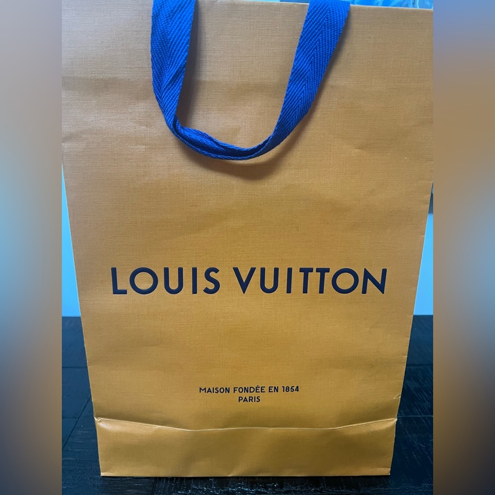 Louis Vuitton 10” x 14” shopping bag. Good condition.  From Paris.